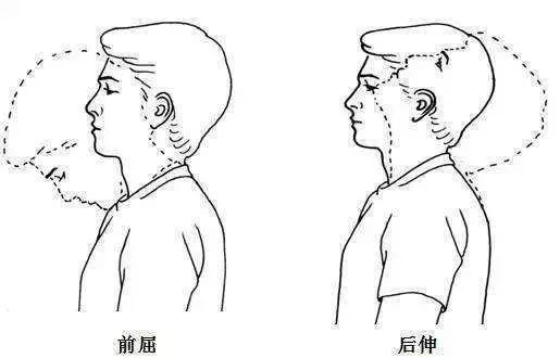 术后5 ～ 10天,进行肩部及颈部的功能锻炼: 包括前举,耸肩,后伸,内收