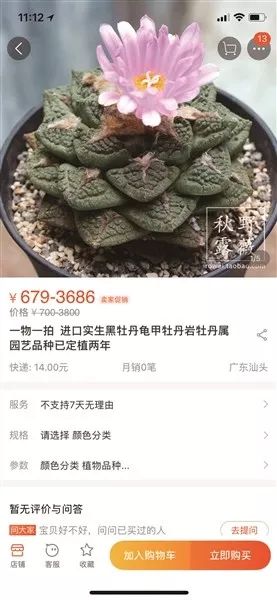 网红植物有致幻效果，到底是怎么回事？ 贷款 第5张