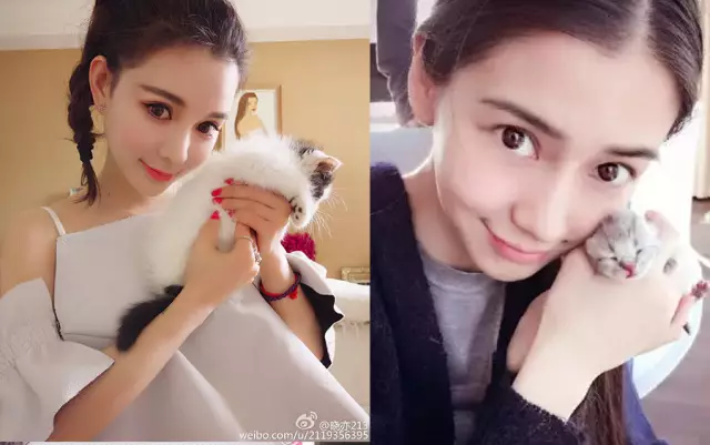 网红圈里到底有多少个angelababy