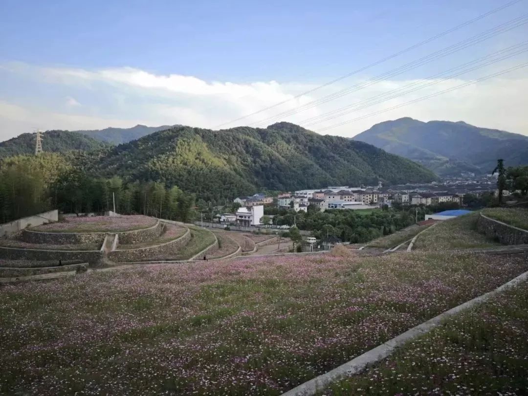 导航地址:戴村镇三清寨综合萧山发布,萧山楼塔,萧山戴村,部分照片来自