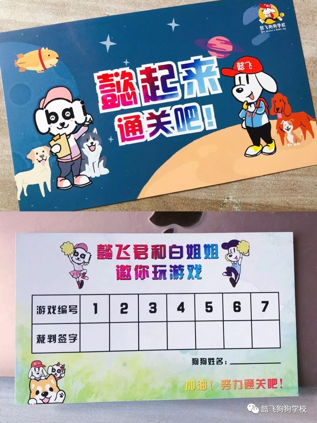 寻找杭城最可爱的100只小短腿