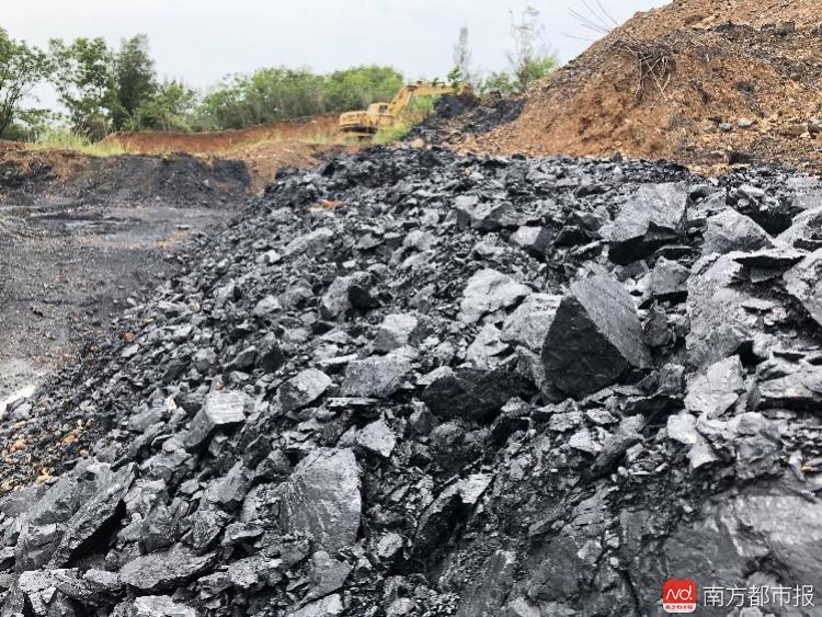 深圳工地挖出大片煤炭 专家推断有上亿年历史