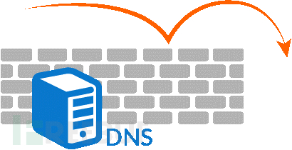 可实时执行DNS重绑定测试的DNS服务器