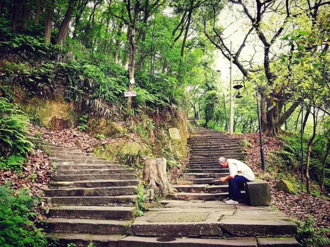 走进南山黄桷古道让心灵在登山中得到解压