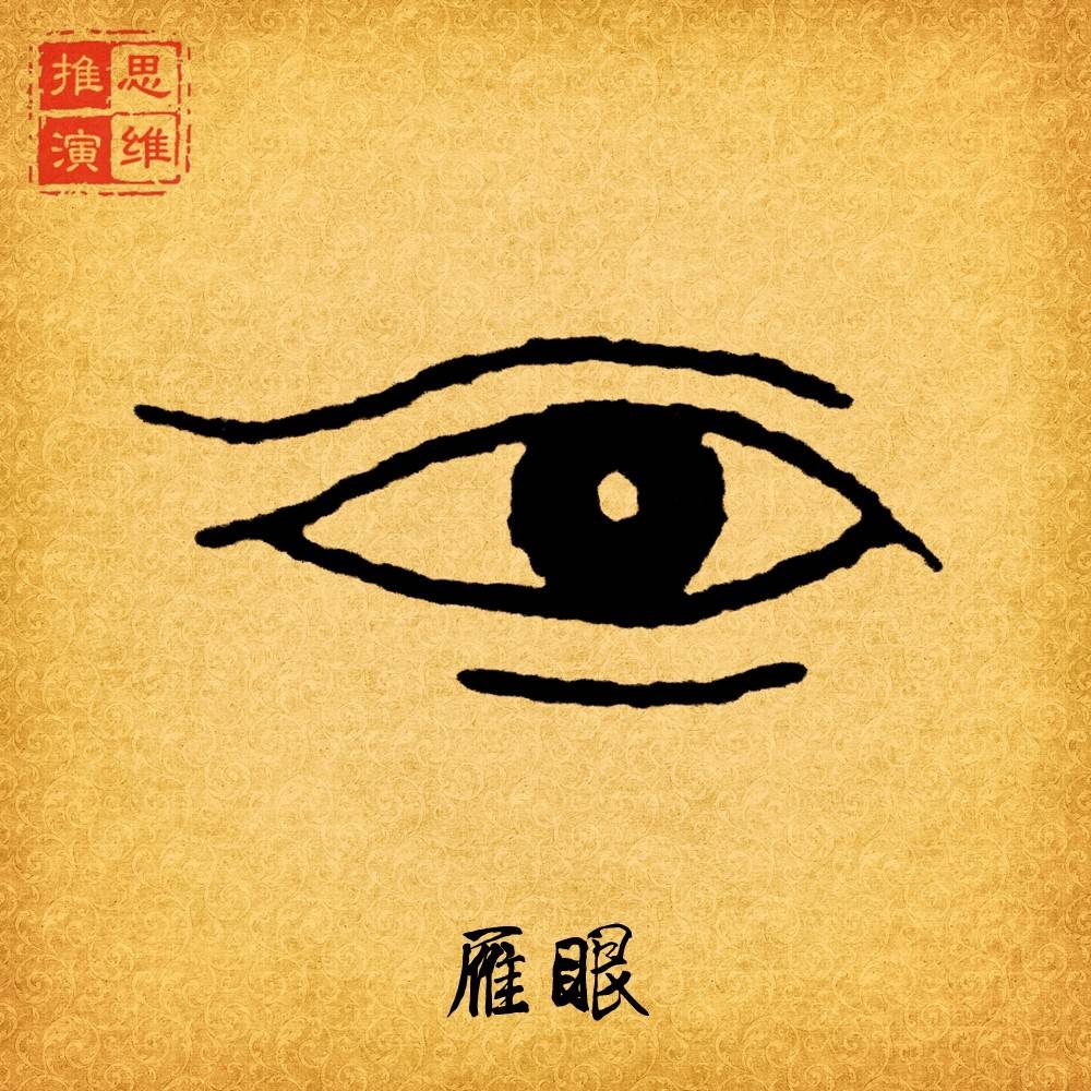 雁眼:上下眼睑都有眼纹,显得修长而清丽,这样的眼称为鹊眼.