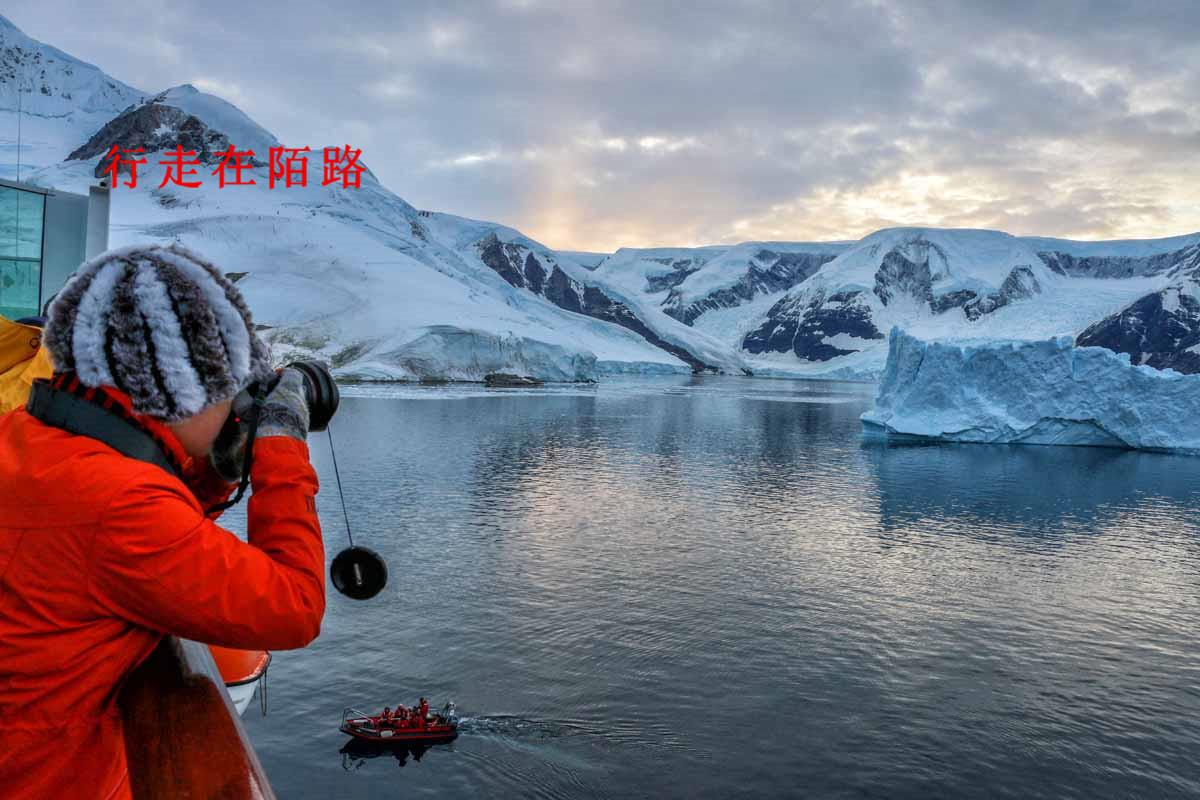 一天花一万:中国人高价去南极外围,追拍企鹅成