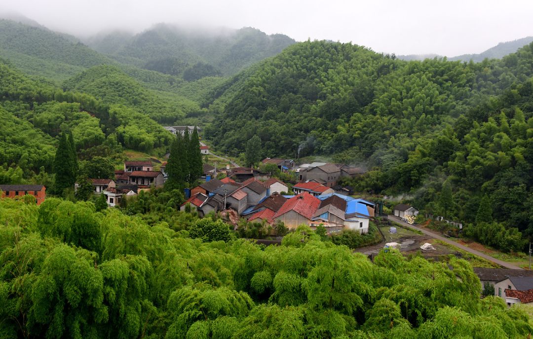 就是 湖州安吉.