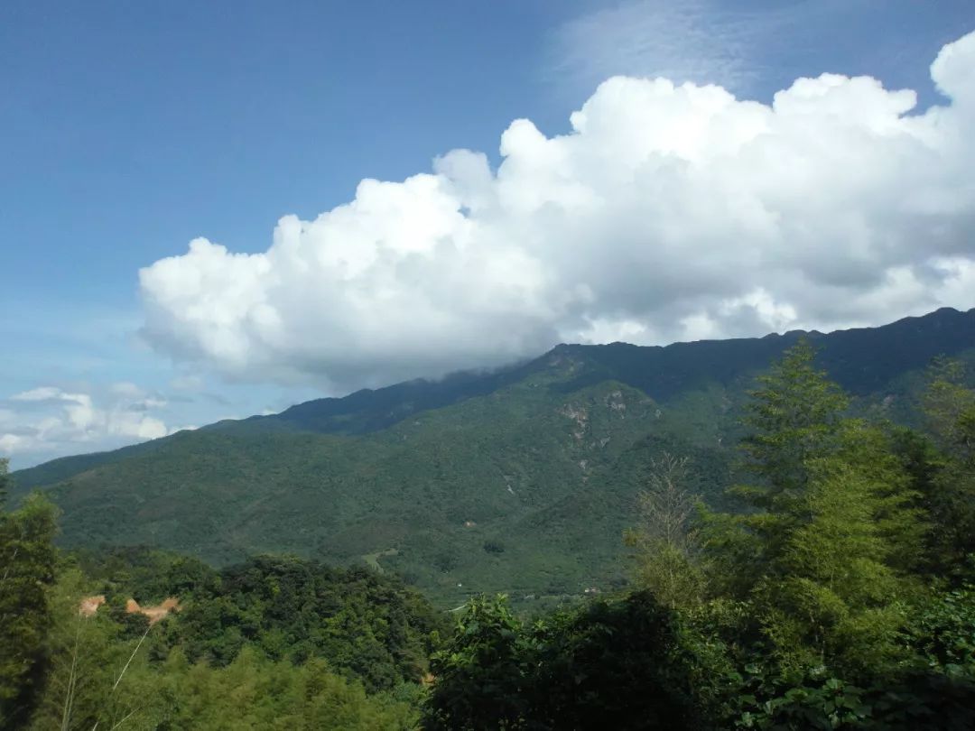 广州地铁14号线有望年底开通啦!1小时到达从化