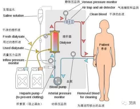 凯里胎盘人口_凯里·欧文