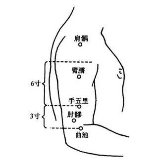 经络篇十二经脉之手阳明大肠经各穴位详解