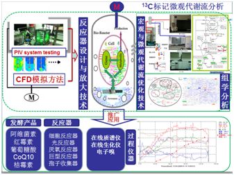 "十二五"863计划生物过程共性关键技术与装备研究成果回顾