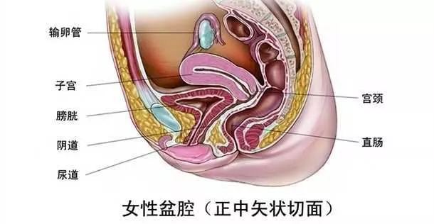 由于女性患上盆腔积液之后,可能会导致女性的输卵管出现阻塞,这样