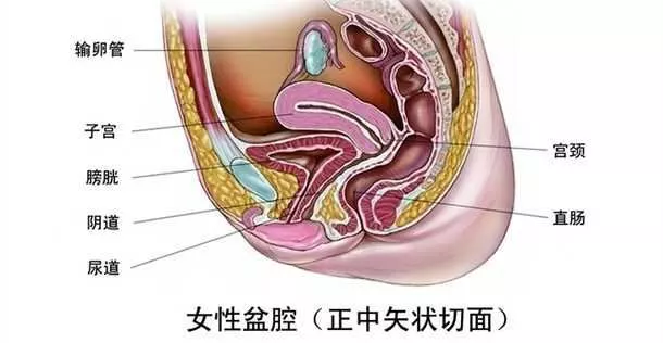 盆腔积液,女人都可能有的问题,要不要治