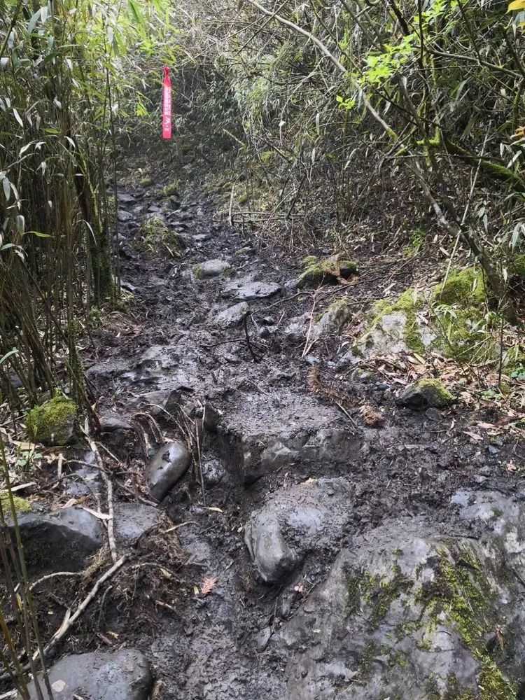 翻山越岭只为那心中小小的梦记人生的第一个50km越野赛