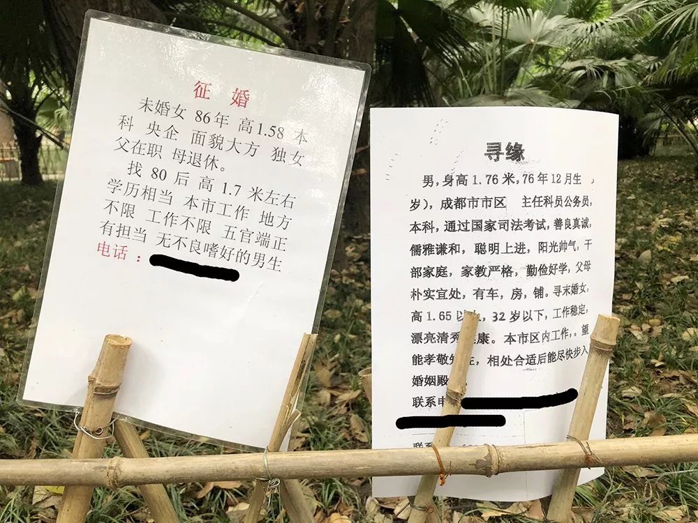 觉得自己条件好?那是你没去过成都人民公园相亲角!