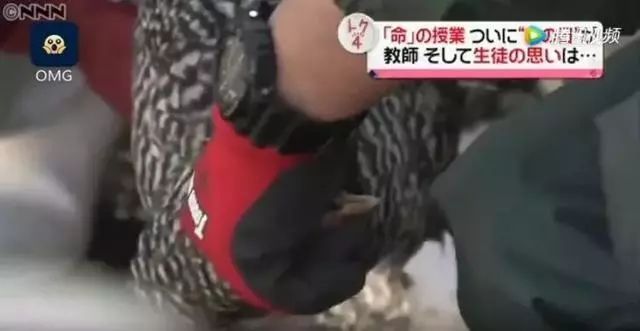 日本高中生命课程:孵出小鸡,亲手6个月养大后再自己杀