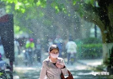 气温升高,无锡这波"毛毛雨"来势汹汹