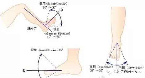 陕西体育医院康复专家专题——踝关节扭伤治疗与防护