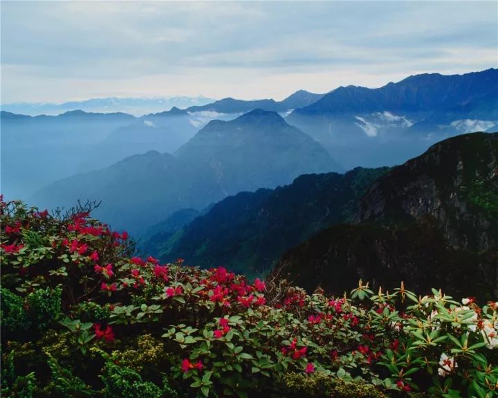 龙门山国家级风景名胜区4个国家级自然生态资源品牌,是成都近郊重要的