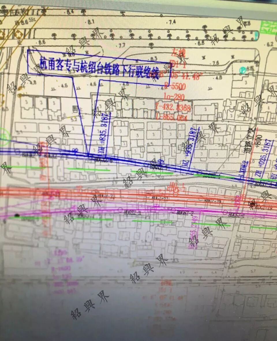 绍兴市2021年出生人口_2020年绍兴市越马图片