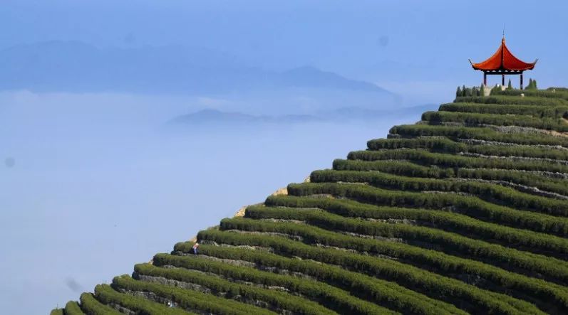 临海羊岩山茶文化园