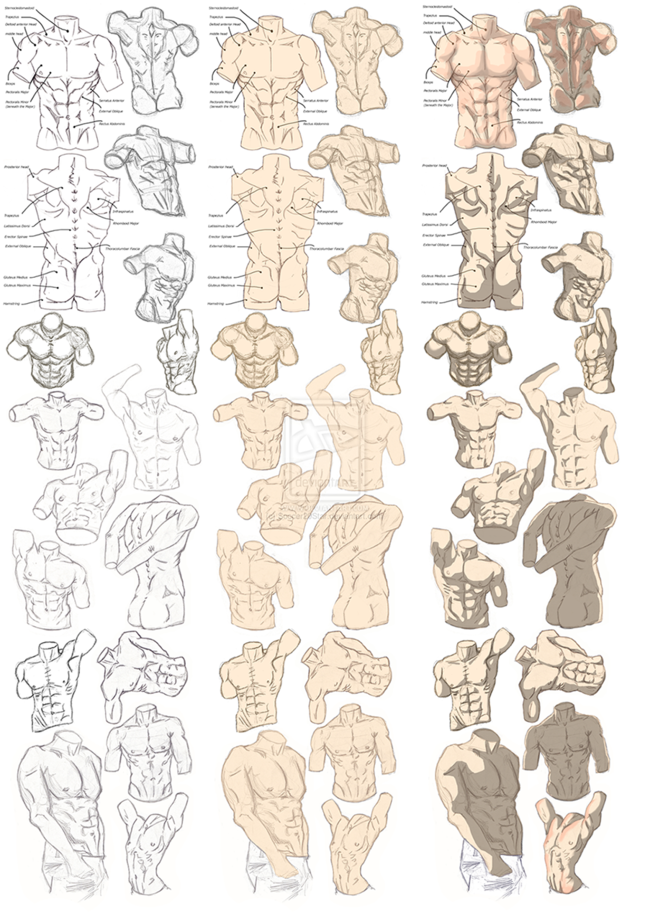 漫画男人体怎么画人体结构教程-轻微课绘画网址