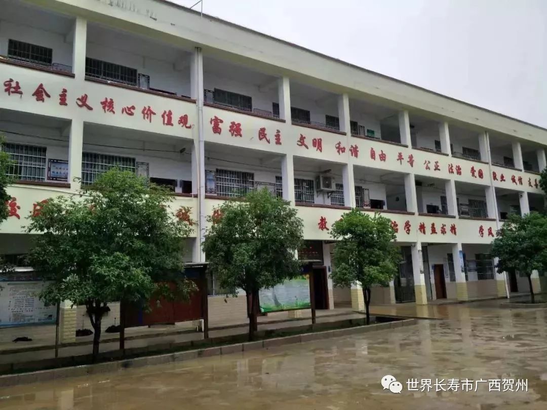 凤凰中心小学(校园一景,计算机室,科普室)