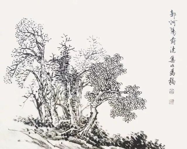 画山水先画好树才是硬道理 20张树木画稿值得收藏