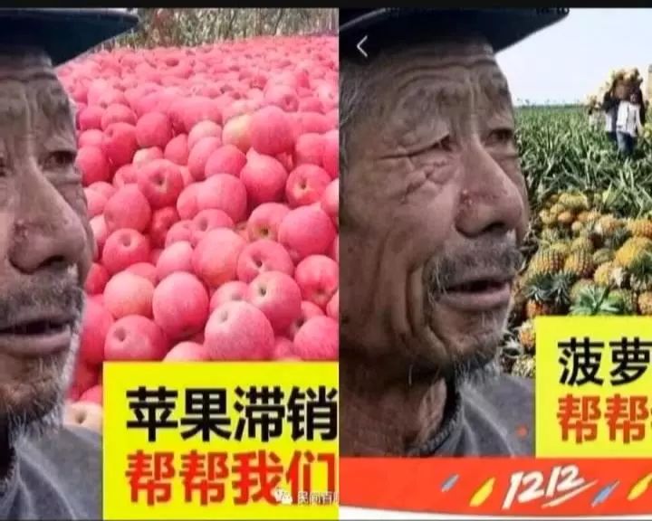 【关注情感营销】滞销水果悲情牌套路:网商称"临猗苹果滞销"