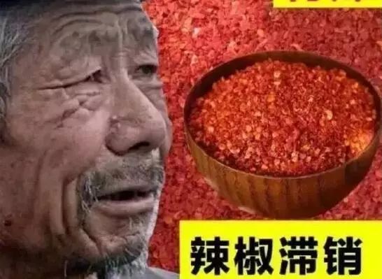 "滞销大爷"是骗局?滞销,你大爷的!