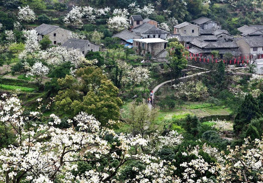 林更新、陈赫住过的滨海城市为杭州人开通了旅