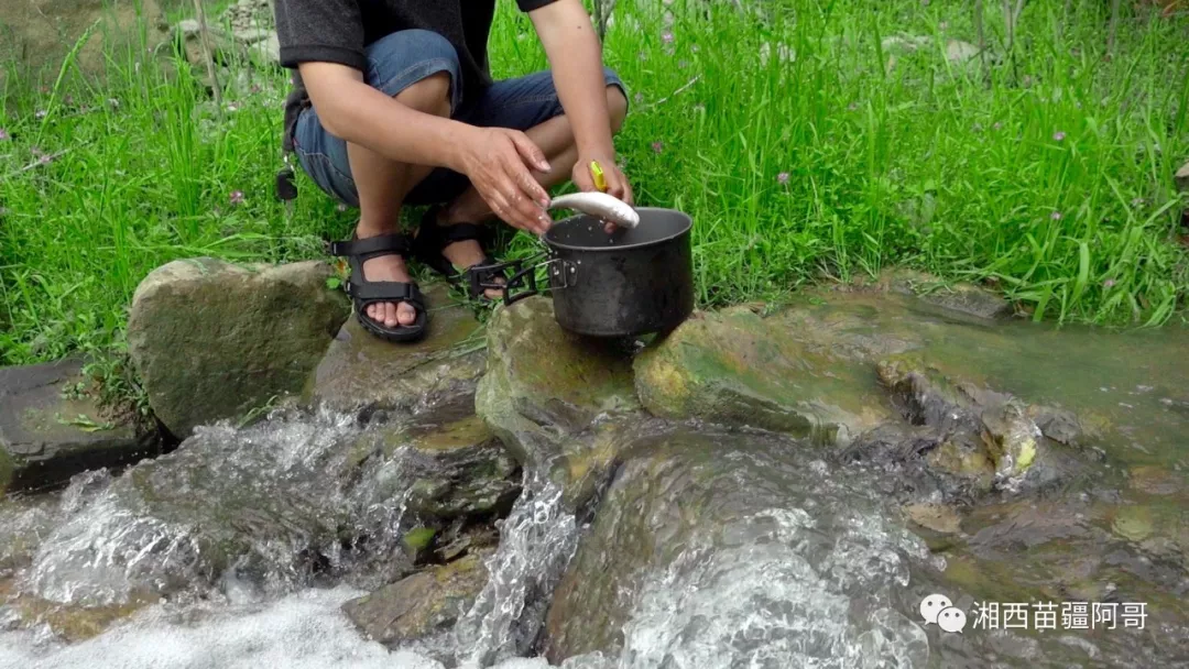 用山泉水和野生鱼炖豆腐汤,营养价值高,鲜美好喝