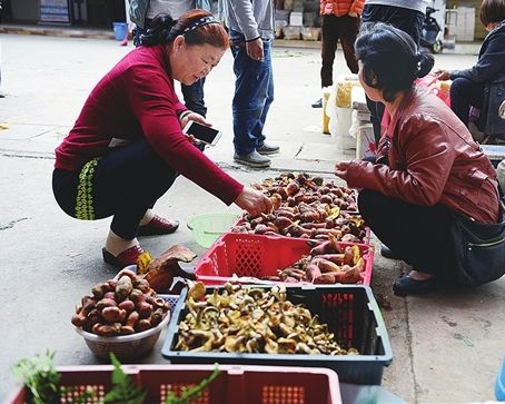 为什么云南人口味重_云南白药牙膏口味图