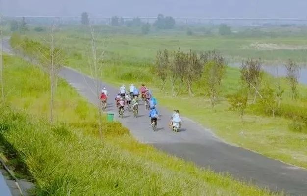 骑行线路: 渭河生态景观区——西安湖——草滩湿地公园——西安渭河