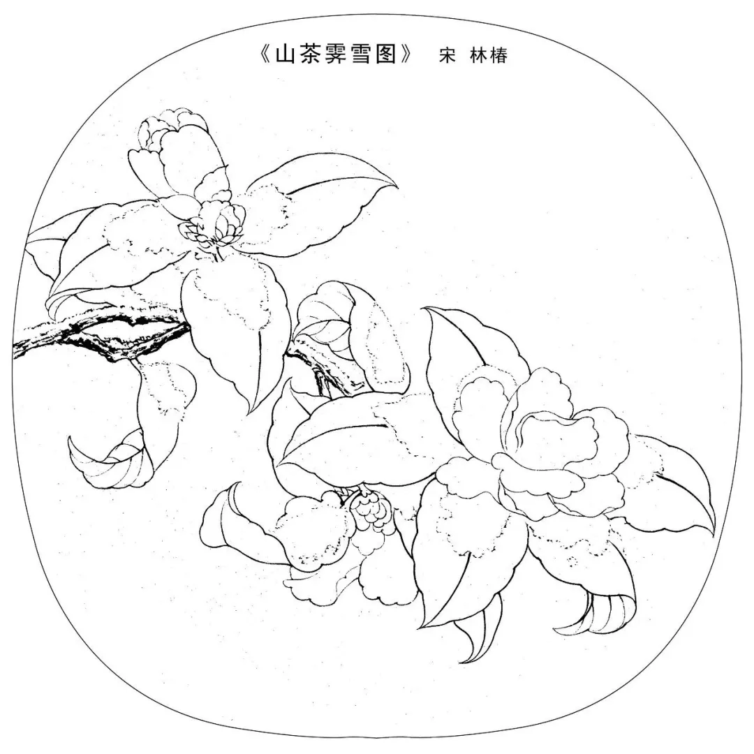 宋画工笔白描,最好的国画学习素材