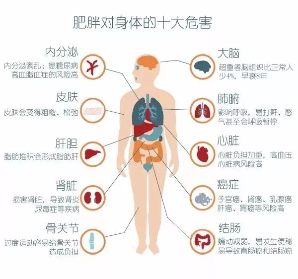 一年一度的"世界防治肥胖日",你瘦了吗?