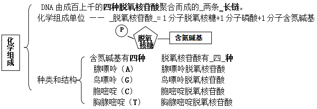 干货丨高中生物必修二dna结构,复制和表达知识梳理