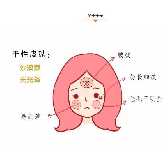 干性皮肤?eklarry告诉你到底该怎么补水?