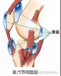 膝关节周围滑囊炎