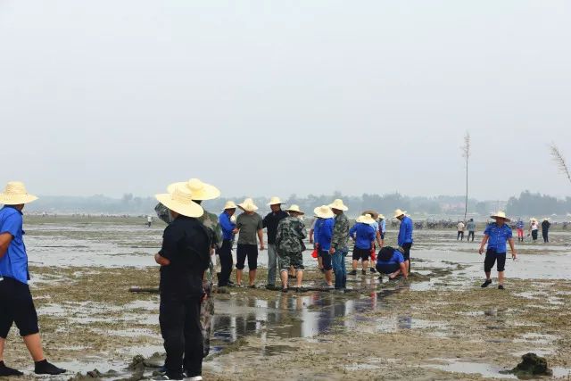 北海营盘数千人集体下海淘金场面壮观