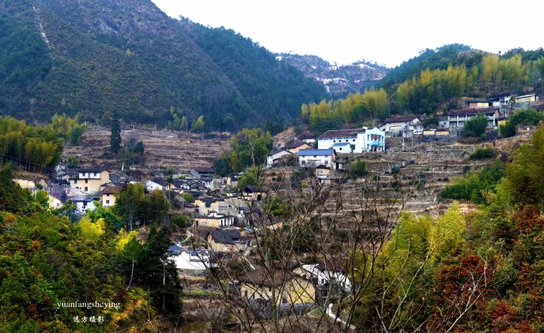 龙泉市安仁镇金蝉湖村 龙泉市屏南镇横坑头村 龙泉市竹垟乡安坑村