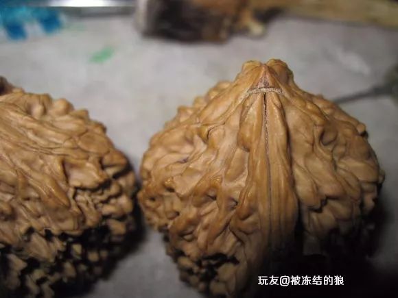 核桃出现虫洞怎么办?堵上啊!铅笔,彩陶,502