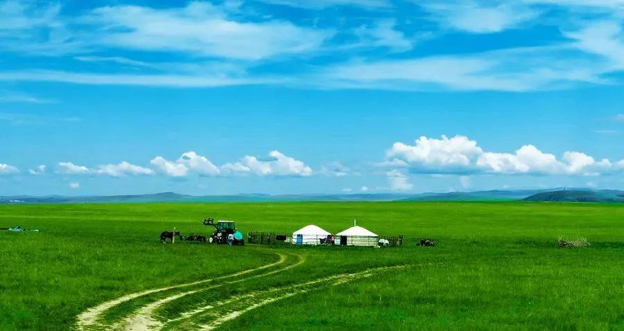 草原,蒙古包