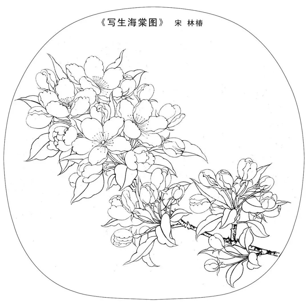 宋画工笔白描,最好的国画学习素材