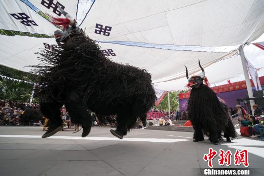 图为古老的野牦牛舞《协荣仲孜》参加藏戏表演 何蓬磊 摄