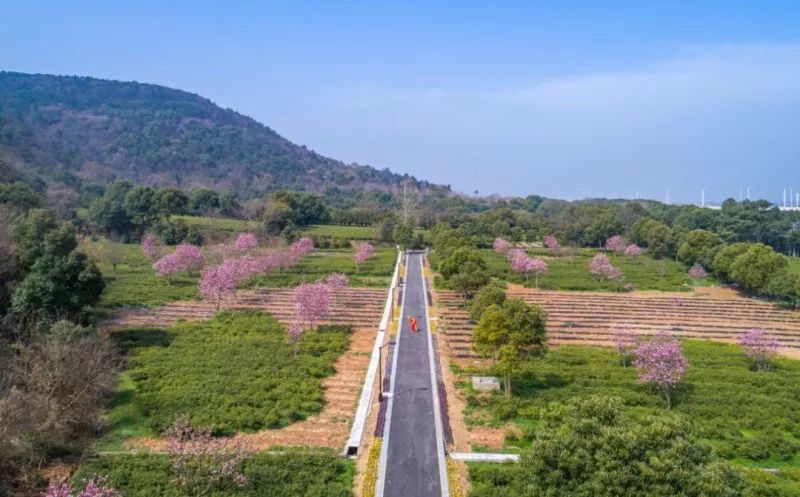 虞山生态步道