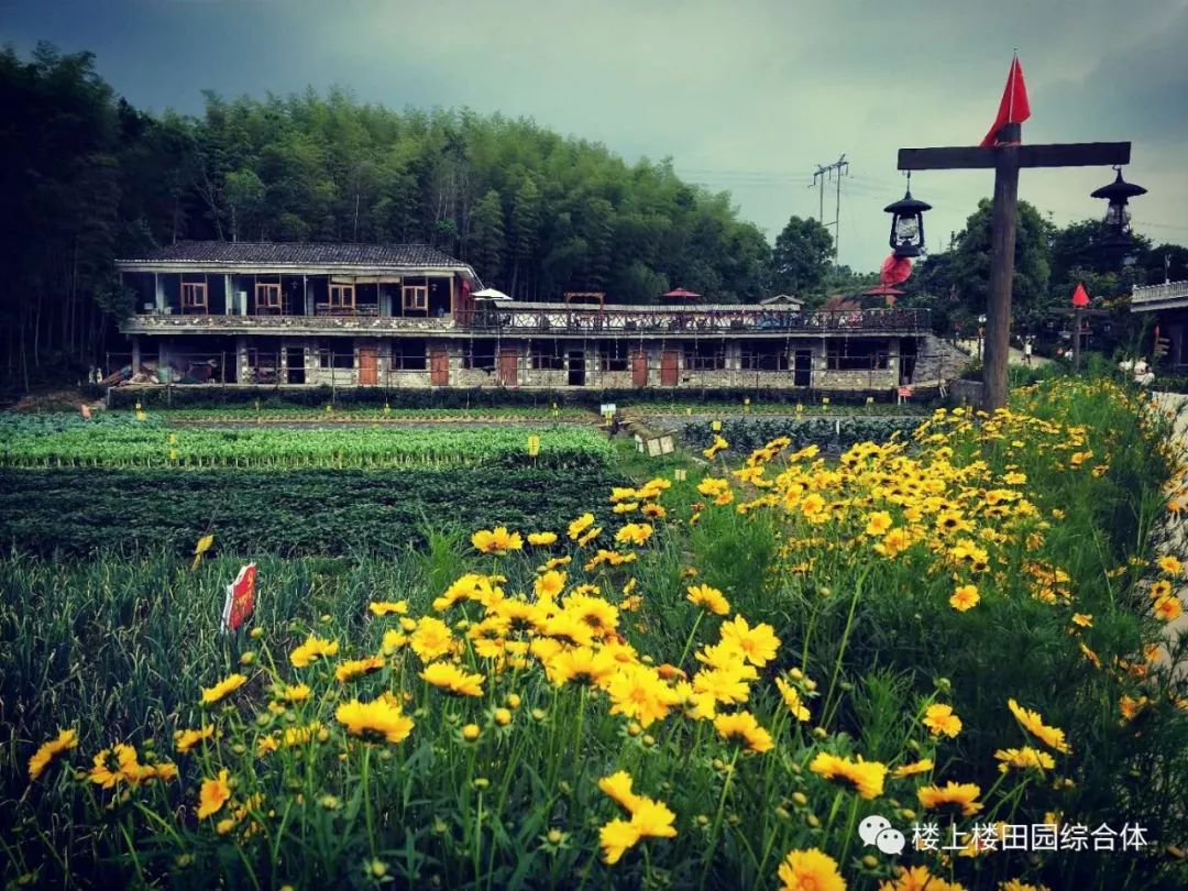 服务电话:13407033176 地址:德兴市香屯街道杨家湾村(导航"德兴市楼上