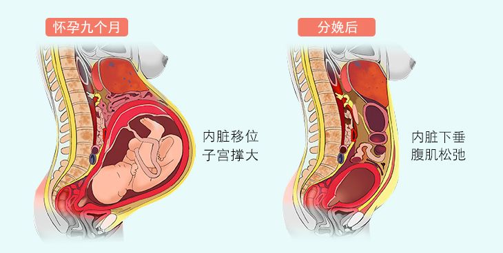 肚子有肉的女人点进来,一秒瘦腰收腹!