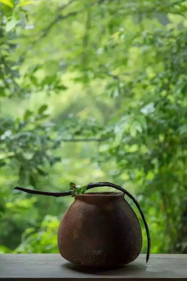 此时温一壶清茶,思绪随着淡淡茶香发散,真是清茶一壶也醉人.