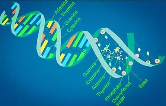 生物技术vs生物工程vs生物信息学